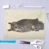 Papier Mousseline Découpage de l'Ephémère de la Chouette des oiseaux (Artisanat)