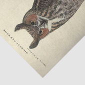 Papier Mousseline Découpage de l'Ephémère de la Chouette des oiseaux (Détail)