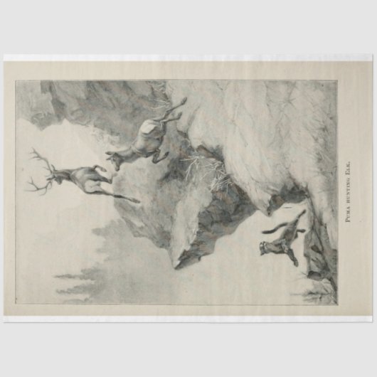 Papier Mousseline Découpage de l'Ephémère de l'Ephémère de la Chasse (Recto)