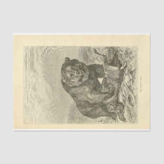 Papier Mousseline Découpage de l'éphémère de l'ours vintage (Recto)