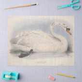 Papier Mousseline Découpage de l'Ephémère d'oiseaux (Artisanat)