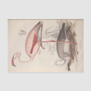 Papier Mousseline Découpage de l'Ephémère du Flamant rose d'oiseaux