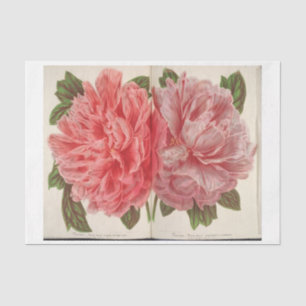 Papier Mousseline Découpage de l'Ephémère Florale française Deux piv