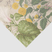 Papier Mousseline Découpage de l'éphémère papillon Fleur sauvage bot (Détail)