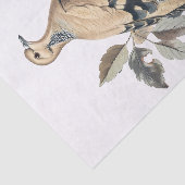 Papier Mousseline Découpage de l'illustration de colombe de deuil vi (Détail)