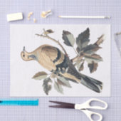 Papier Mousseline Découpage de l'illustration de colombe de deuil vi (Artisanat)