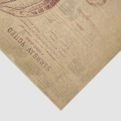 Papier Mousseline Découpage de méduse vintage (Détail)