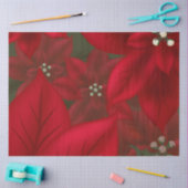 Papier Mousseline Découpage de Noël Rouge Poinsettia (Artisanat)