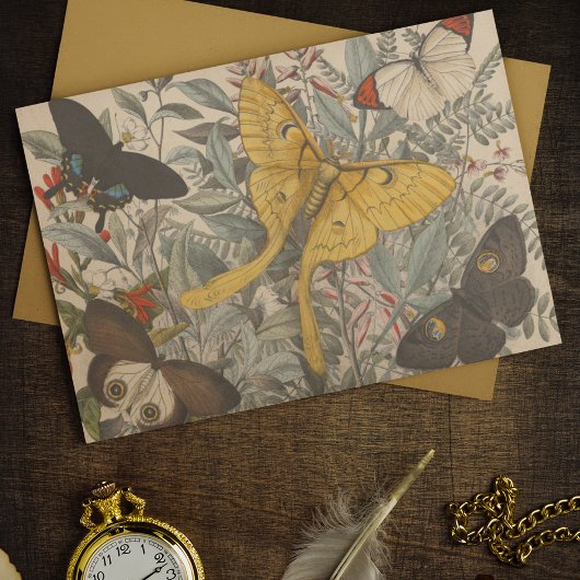 Papier Mousseline Découpage de papillon Luna Botanique vintage