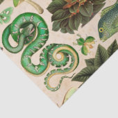 Papier Mousseline Découpage de poisson et de papillon des serpents v (Détail)