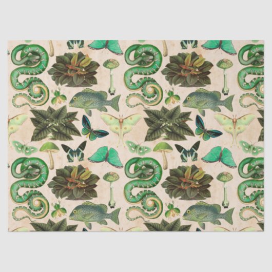 Papier Mousseline Découpage de poisson et de papillon des serpents v (Recto)