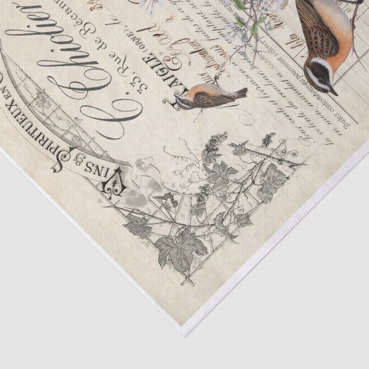 Papier Mousseline découpage de réception d'oiseau français (Détail)