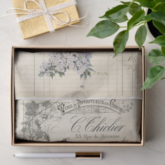 Papier Mousseline découpage de réception d'oiseau français (Cadeau)