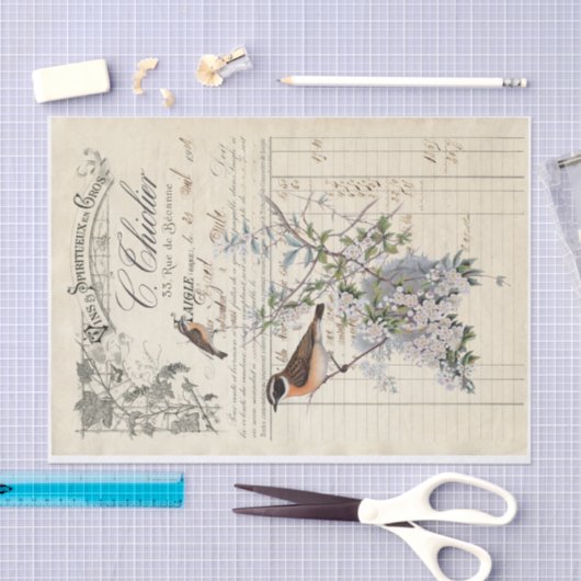 Papier Mousseline découpage de réception d'oiseau français (Artisanat)