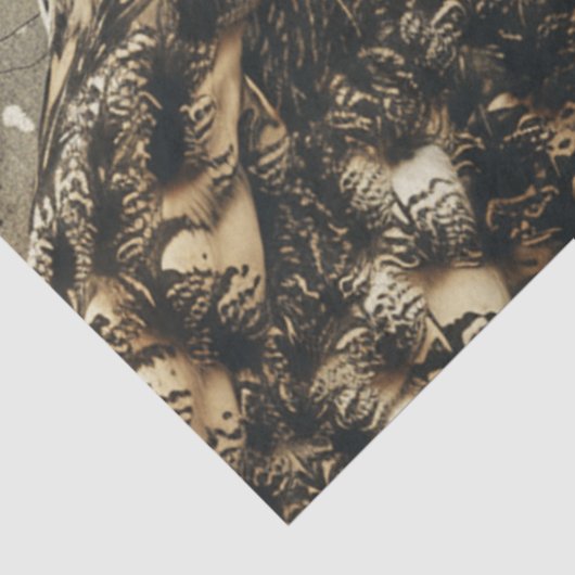 Papier Mousseline Découpage de script céleste de la Chouette mystiqu (Détail)