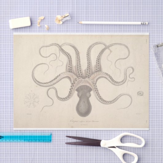 Papier Mousseline Découpage de script d'éptopus nautique (Artisanat)