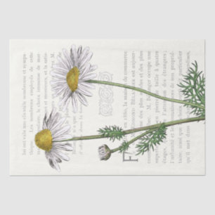 Papier Mousseline Découpage de texte Vintage Fleur Faisée en françai