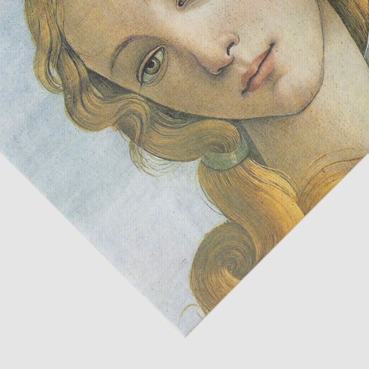 Papier Mousseline Découpage de Vénus (Détail)