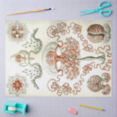Papier Mousseline Découpage d'Ernst Haeckel (Artisanat)