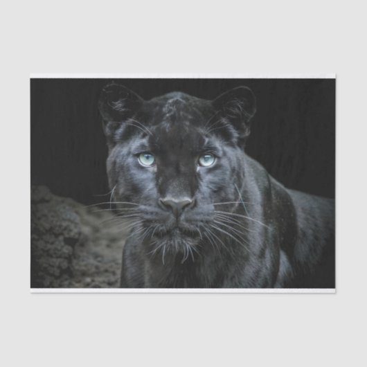 Papier Mousseline Découpage des yeux obsidiens (Recto)