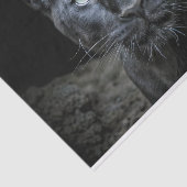 Papier Mousseline Découpage des yeux obsidiens (Détail)