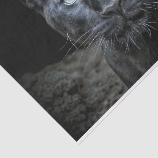 Papier Mousseline Découpage des yeux obsidiens (Détail)