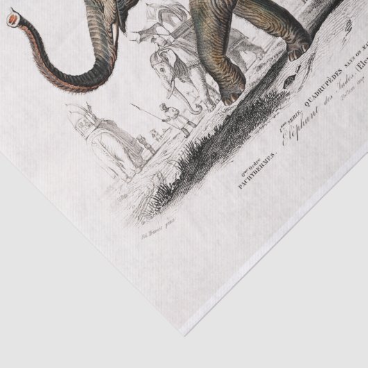 Papier Mousseline Découpage d'impression d'éléphants asiatiques vint (Détail)