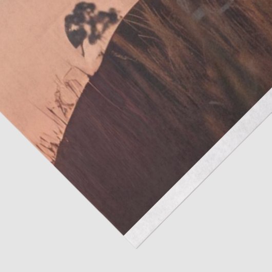 Papier Mousseline Découpage Double exposition Cowboy & Cheval (Détail)