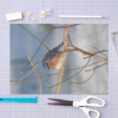 Papier Mousseline Découpage du bleuet d'hiver (Artisanat)