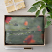 Papier Mousseline Découpage du champ Rouge (Cadeau)