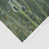 Papier Mousseline Découpage du champ Rouge (Détail)