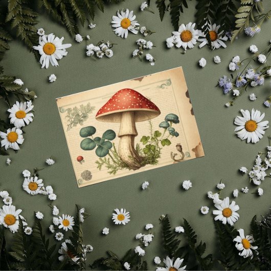 Papier Mousseline Découpage du champignon vintage