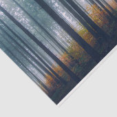 Papier Mousseline Découpage du chemin de la forêt humide (Détail)