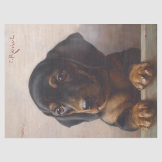 Papier Mousseline Découpage du chiot mignon Dachshund (Recto)