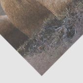 Papier Mousseline Découpage du club de lions (Détail)