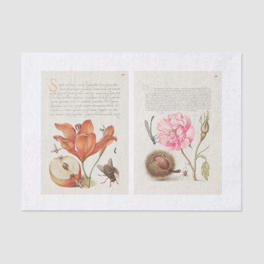 Papier Mousseline Découpage du jardin de calligraphie florale (Recto)