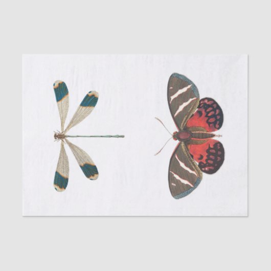 Papier Mousseline Découpage du jardin d'insectes (Recto)