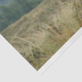 Papier Mousseline Découpage du matin de la vache de Highland (Détail)