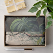 Papier Mousseline Découpage du perroquet gris africain (Cadeau)