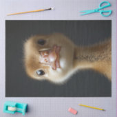 Papier Mousseline Découpage du portrait Gosling migre (Artisanat)