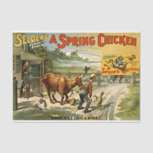 Papier Mousseline Découpage du poulet de printemps