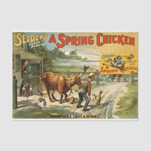 Papier Mousseline Découpage du poulet de printemps (Recto)