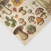 Papier Mousseline Découpage du salon de champignons vintages (Détail)