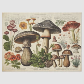 Papier Mousseline Découpage du salon de champignons vintages