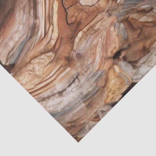 Papier Mousseline Découpage en bois pétrifié (Détail)