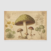 Papier Mousseline Découpage en français du champignon en papier vint (Recto)