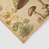 Papier Mousseline Découpage en français du champignon en papier vint (Détail)