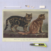 Papier Mousseline Découpage Ephemera chat Tabby orange Brown (Artisanat)