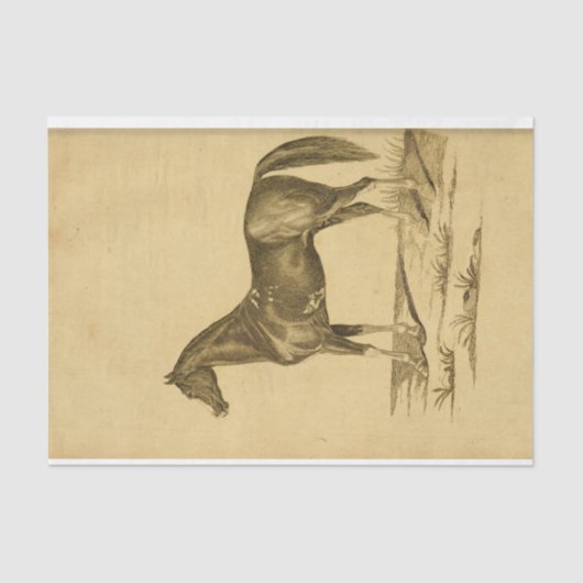 Papier Mousseline Découpage Ephémère Cheval vintage (Recto)