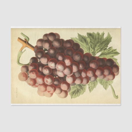 Papier Mousseline Découpage Ephémère de vin rouge violet (Recto)